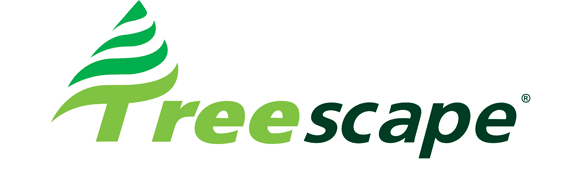 Treescape