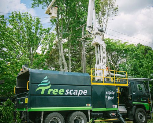 Treescape Truck NZ