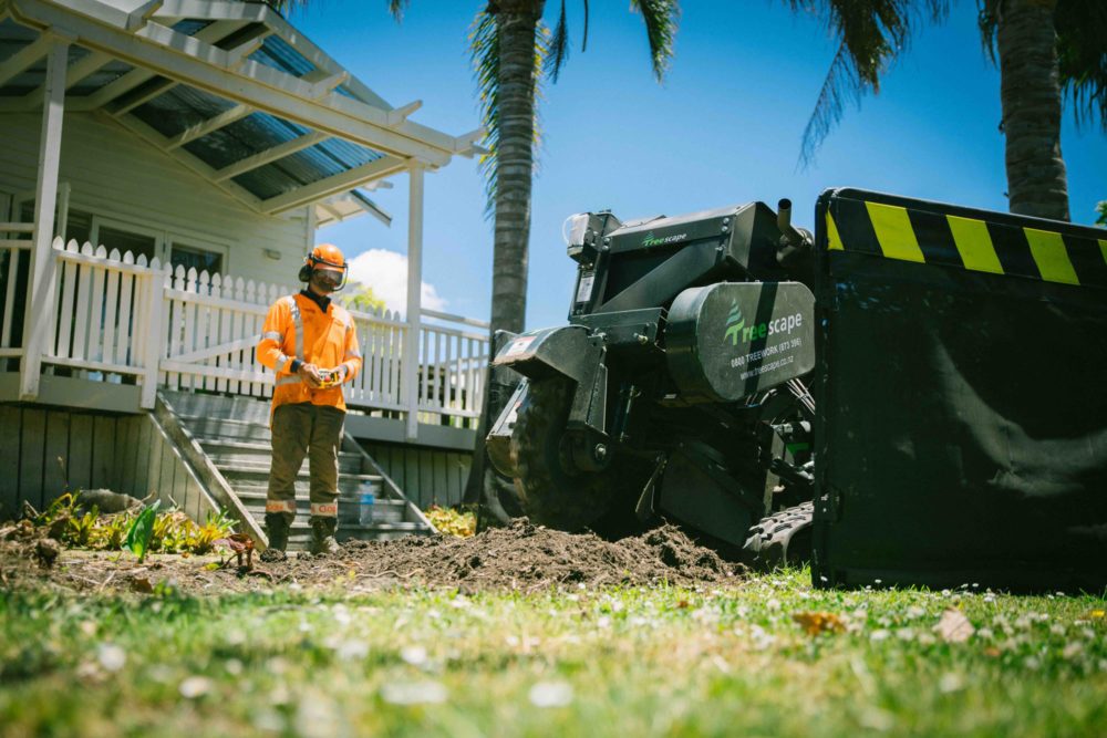 Why should you call the experts for stump removal or stump grinding?