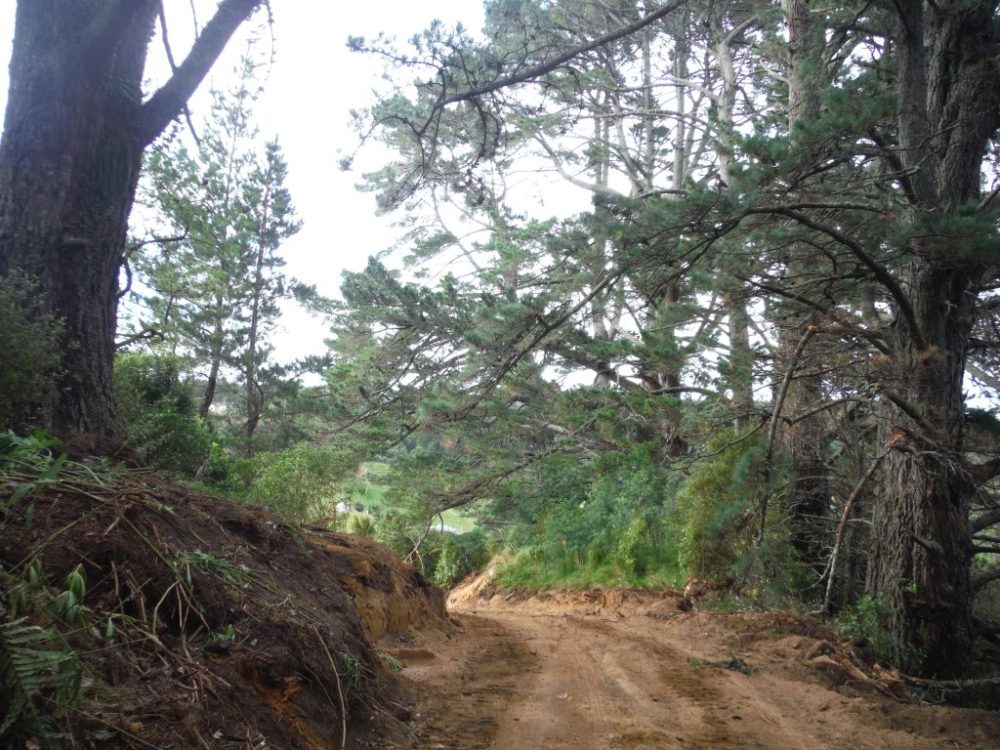 Tautau-Reservoir-Pines-Logging-Truck-Access