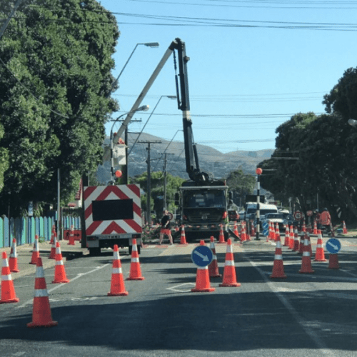 Tender Win with Wellington Electricity Treescape