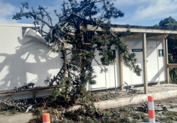 Crane Tree Removal from Portacom Toilet Block