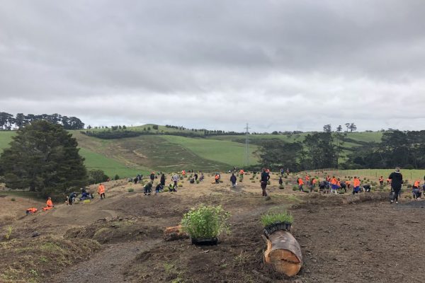 Vector Planting Day 2019
