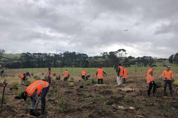 Vector Planting Day 2019