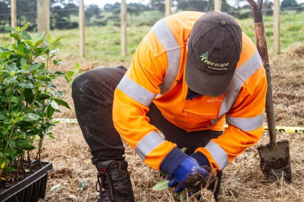 Vector Planting Day 2019