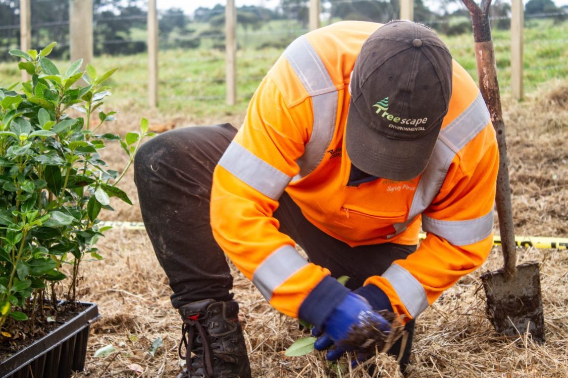 Treescape takes part in Vector Planting Day