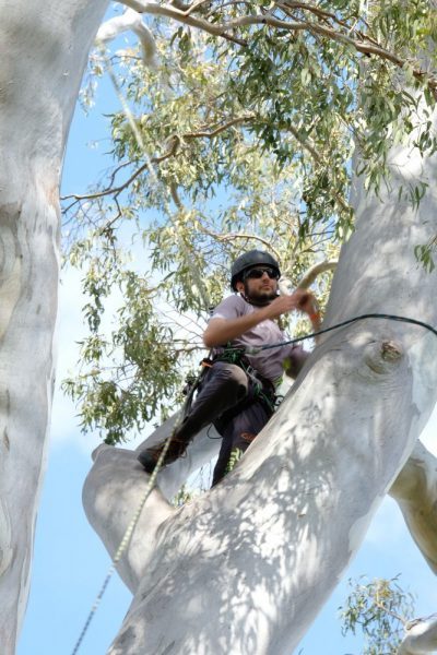 QLD Climbing Competition