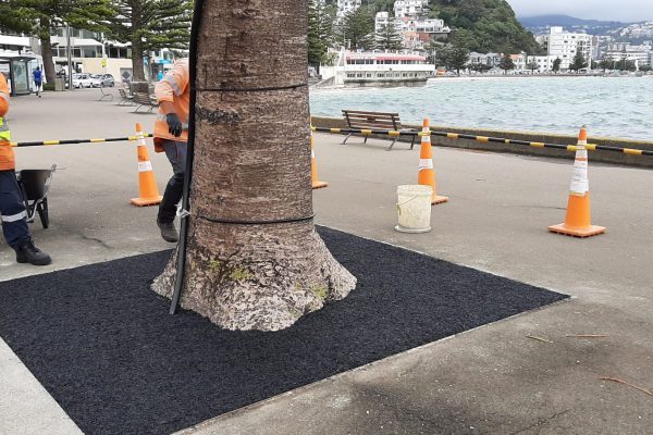 PermeTeq™ - Oriental Parade - Result