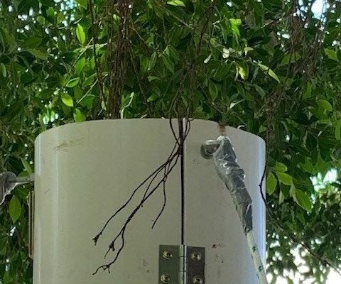 Treescape Root feeder
