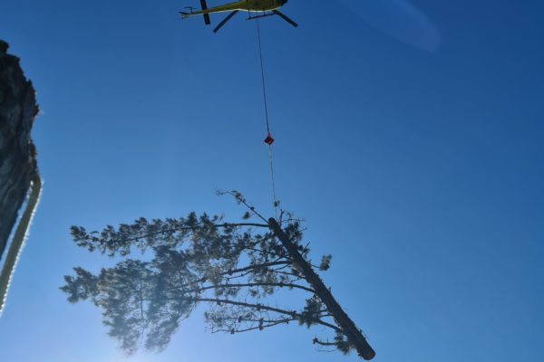 Pine removal helicopter