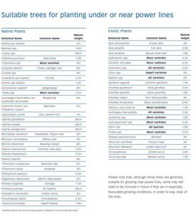 Planting trees under powerlines