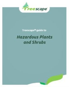 Hazardous Plants and Shrubs