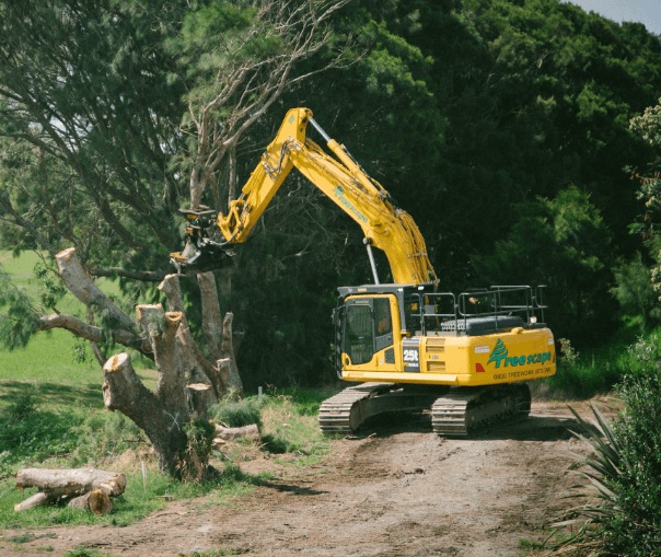 construction-service1